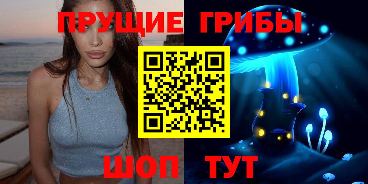 Заречный  Псилоцибиновые грибы Cubensis  Вход с VPN 