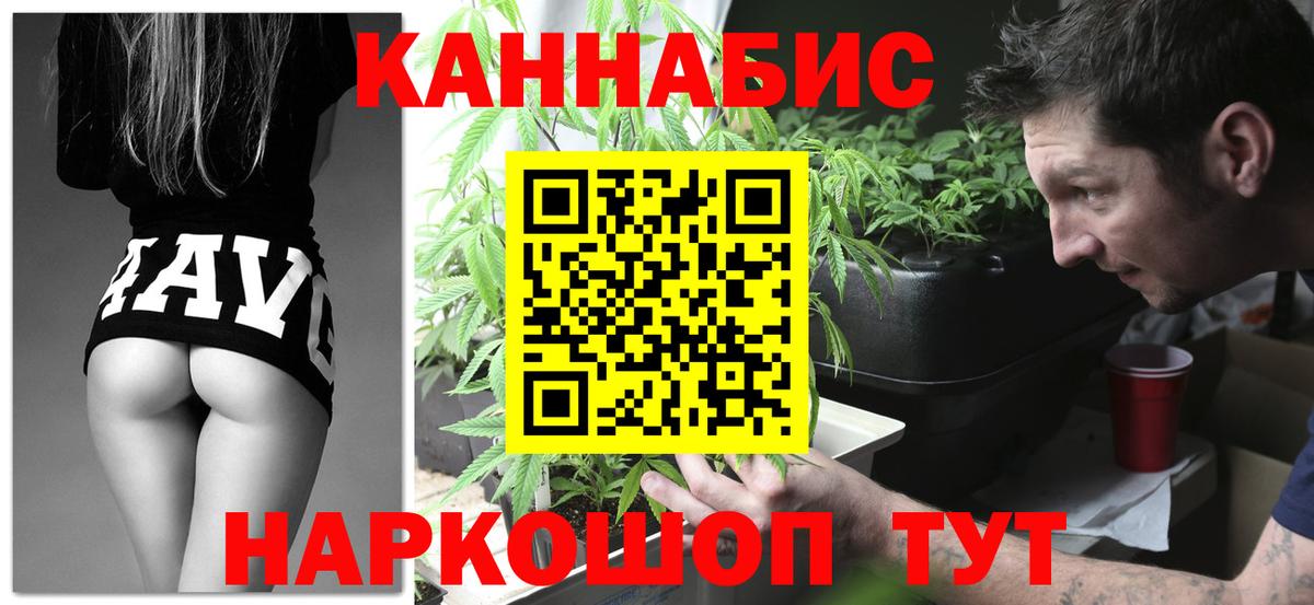 Заречный  Каннабис планчик  Вход с VPN  Бошки Шишки тримм 